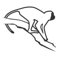Logo for Vervet Monkey Foundation