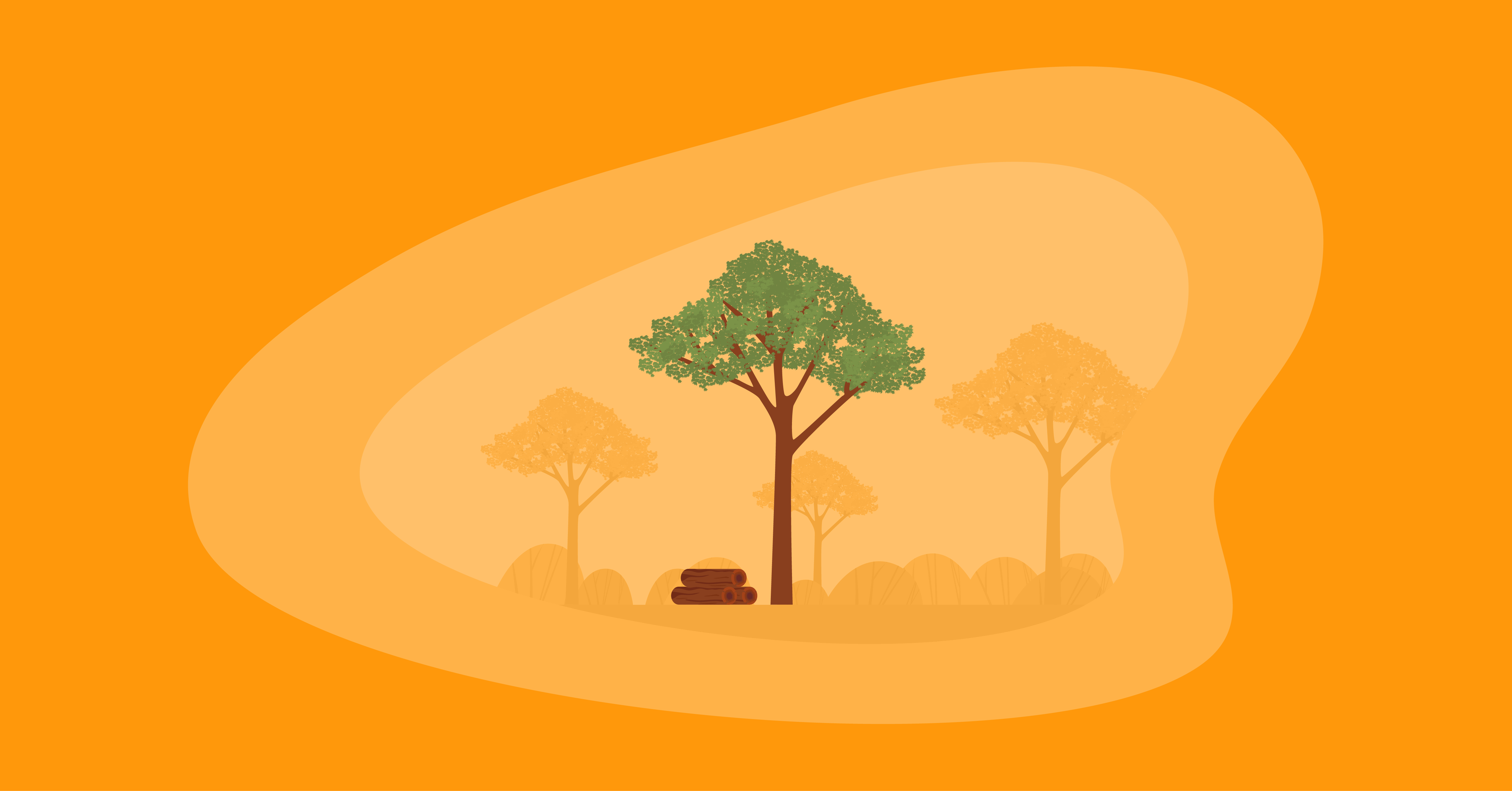 Illustration of a sapele tree and wood