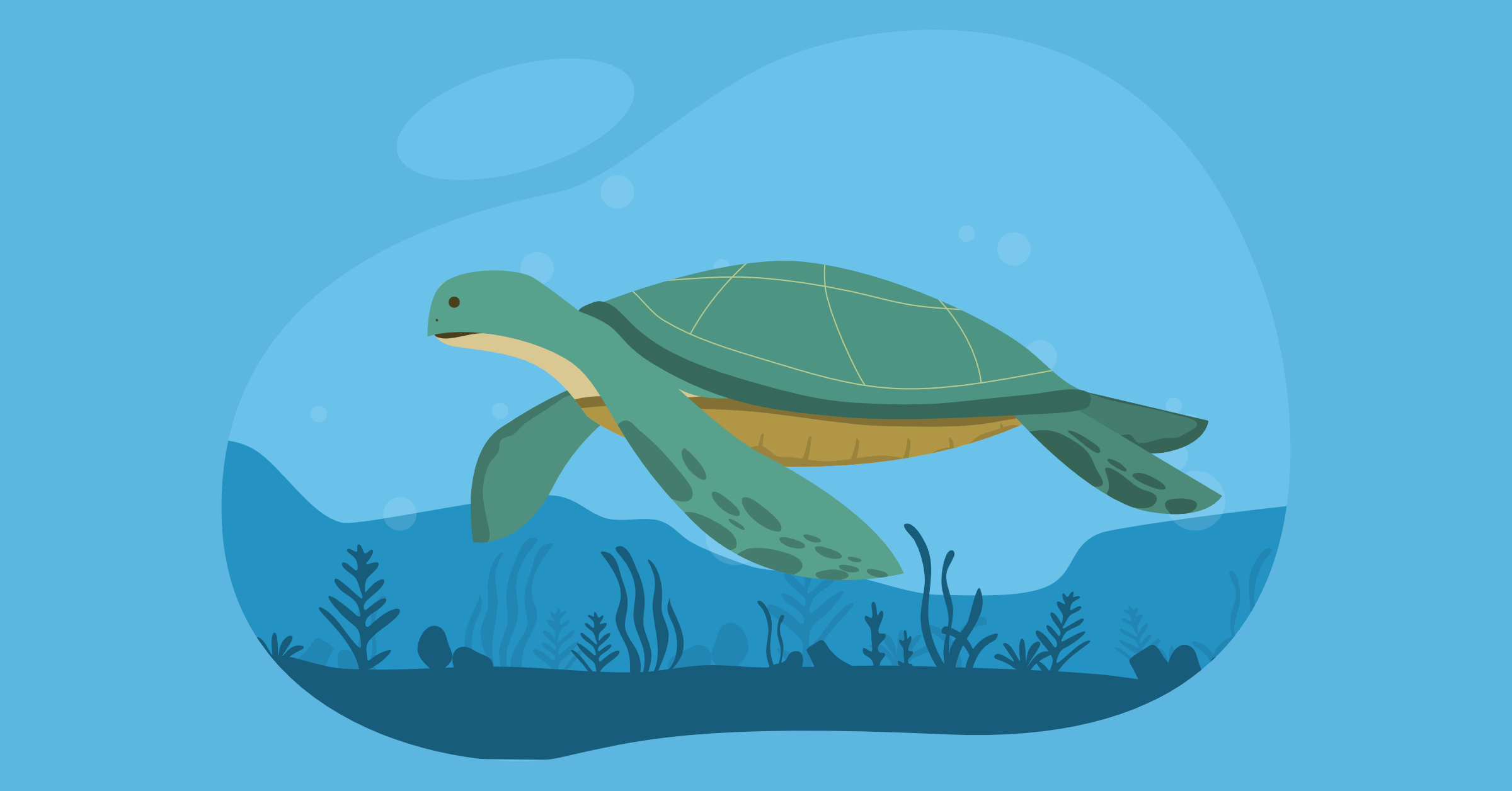 Illustration of a sea turtle