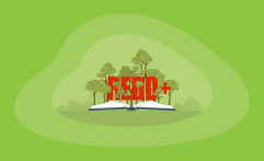 What Are REDD+ Carbon Offsets and How Do They Work: The Big Picture