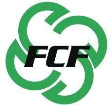 Logo for Fibrolamellar Cancer Foundation