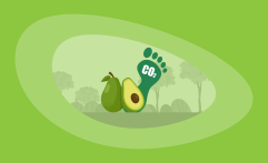 What Is the Carbon Footprint of Avocados? A Life-Cycle Analysis