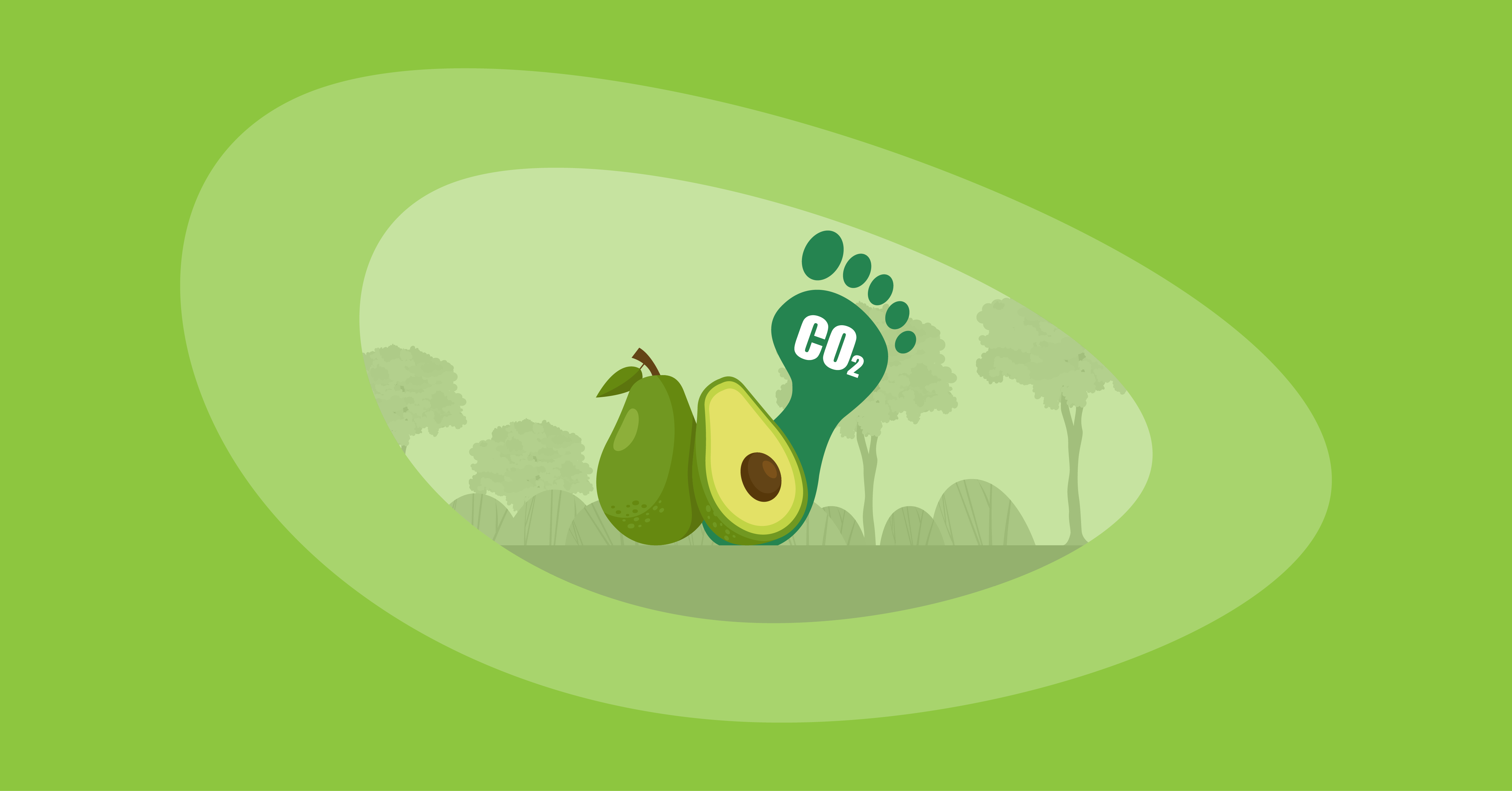 Attempted illustration of an avocado with its carbon footprint