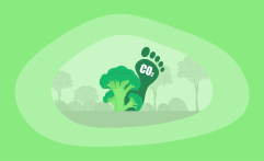 What Is the Carbon Footprint of Broccoli? A Life-Cycle Analysis
