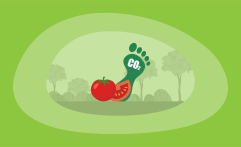 What Is the Carbon Footprint of Tomatoes? A Life-Cycle Analysis