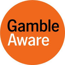 Logo for BeGambleAware