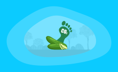 What Is the Carbon Footprint of Cucumbers? A Life-Cycle Analysis