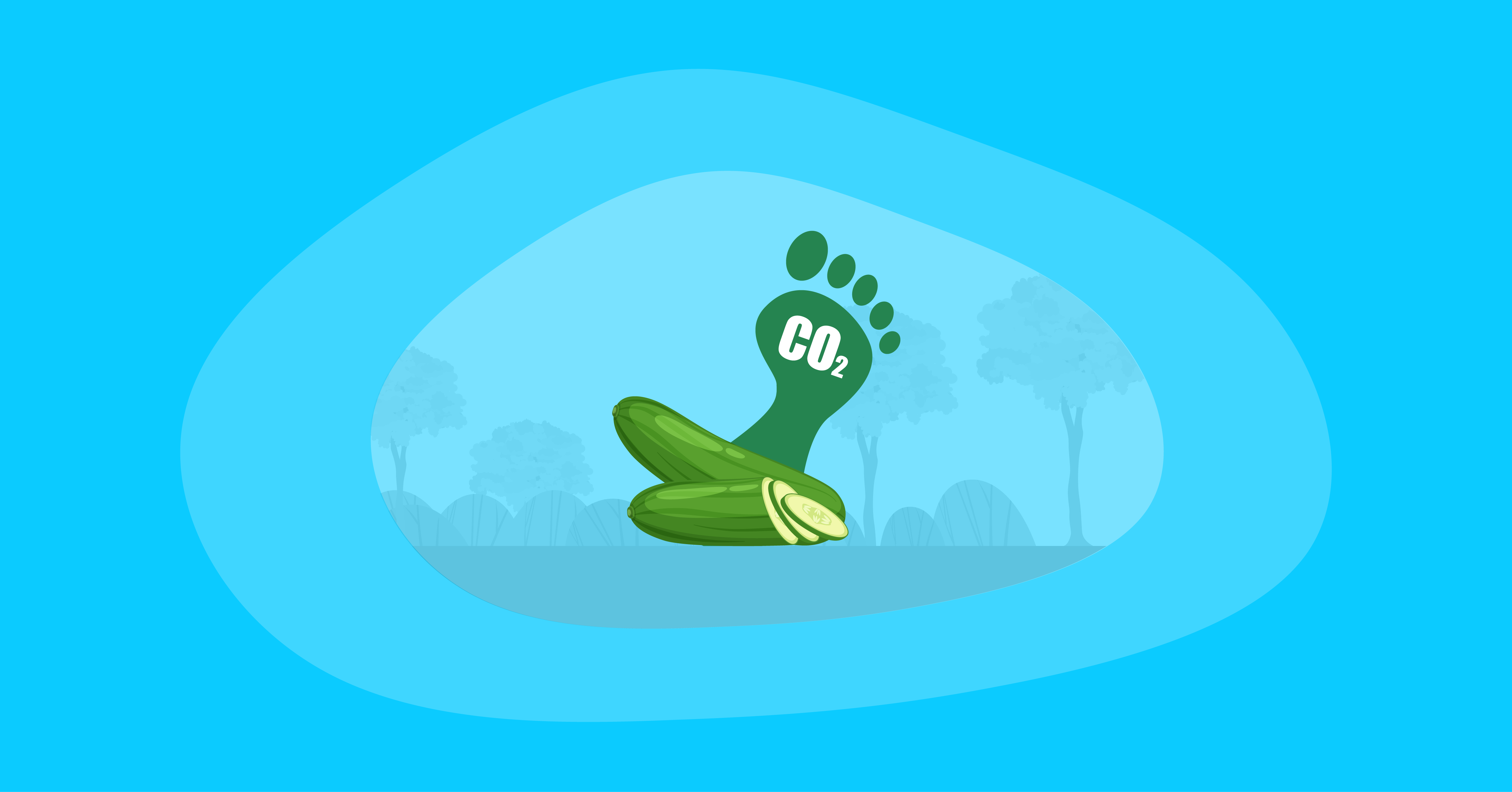 Attempted illustration of cucumbers with their carbon footprint