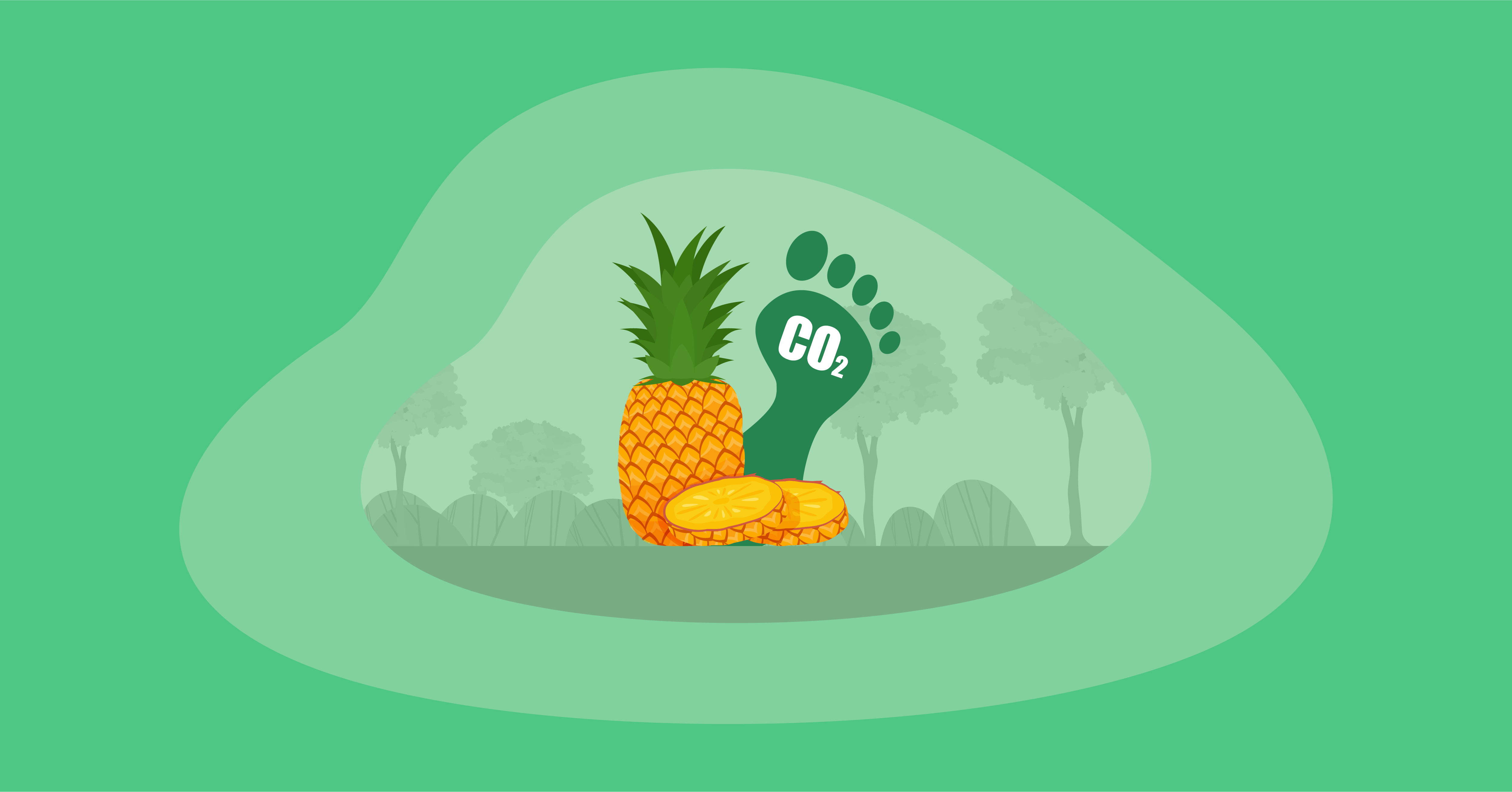 Attempted illustration of a pineapple with its carbon footprint