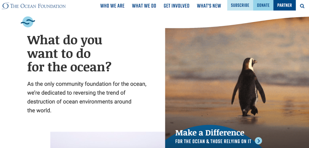 Screenshot of the The Ocean Foundation front page