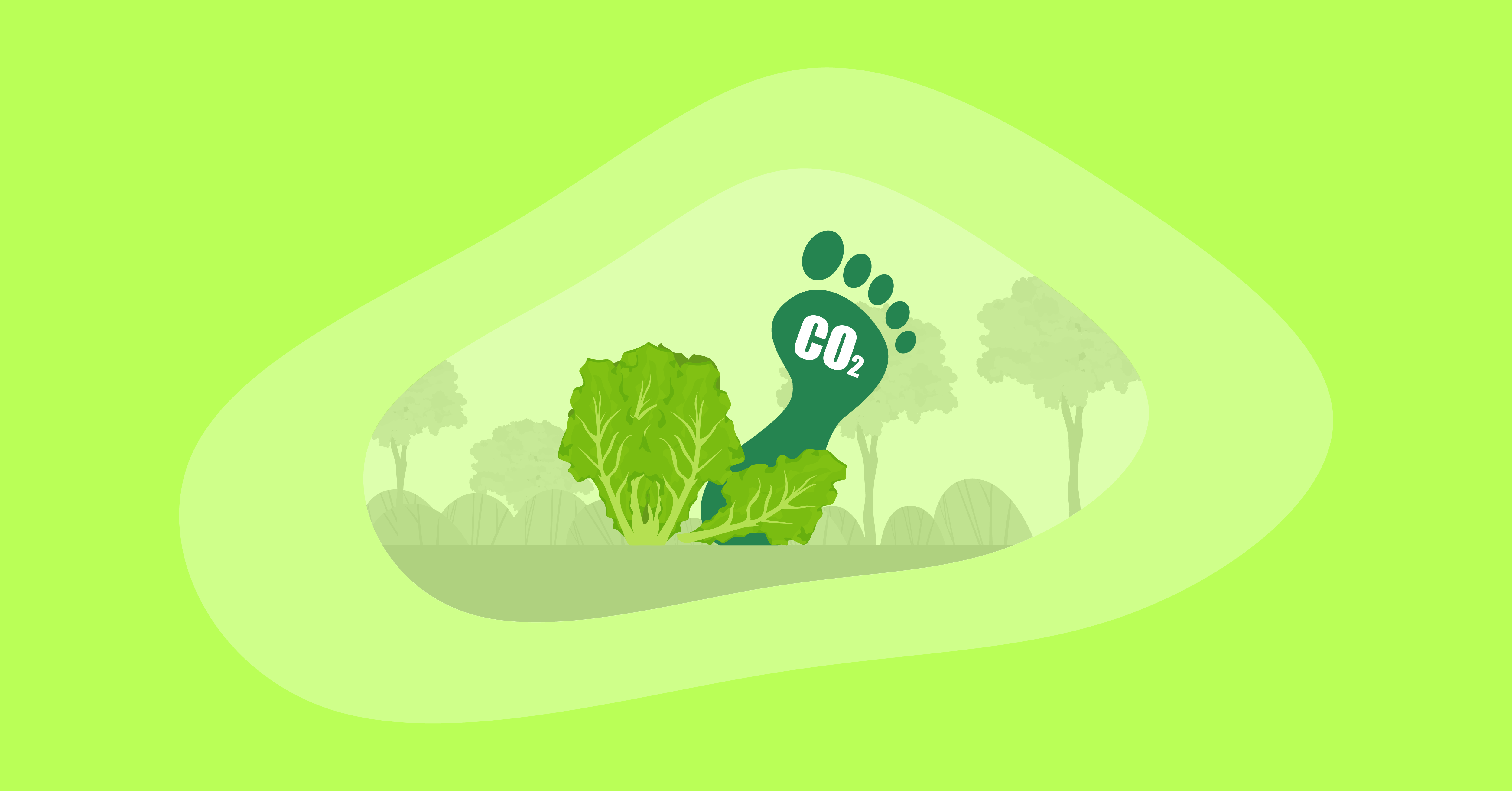 Attempted illustration of lettuce with its carbon footprint