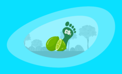 What Is the Carbon Footprint of Limes? A Life-Cycle Analysis