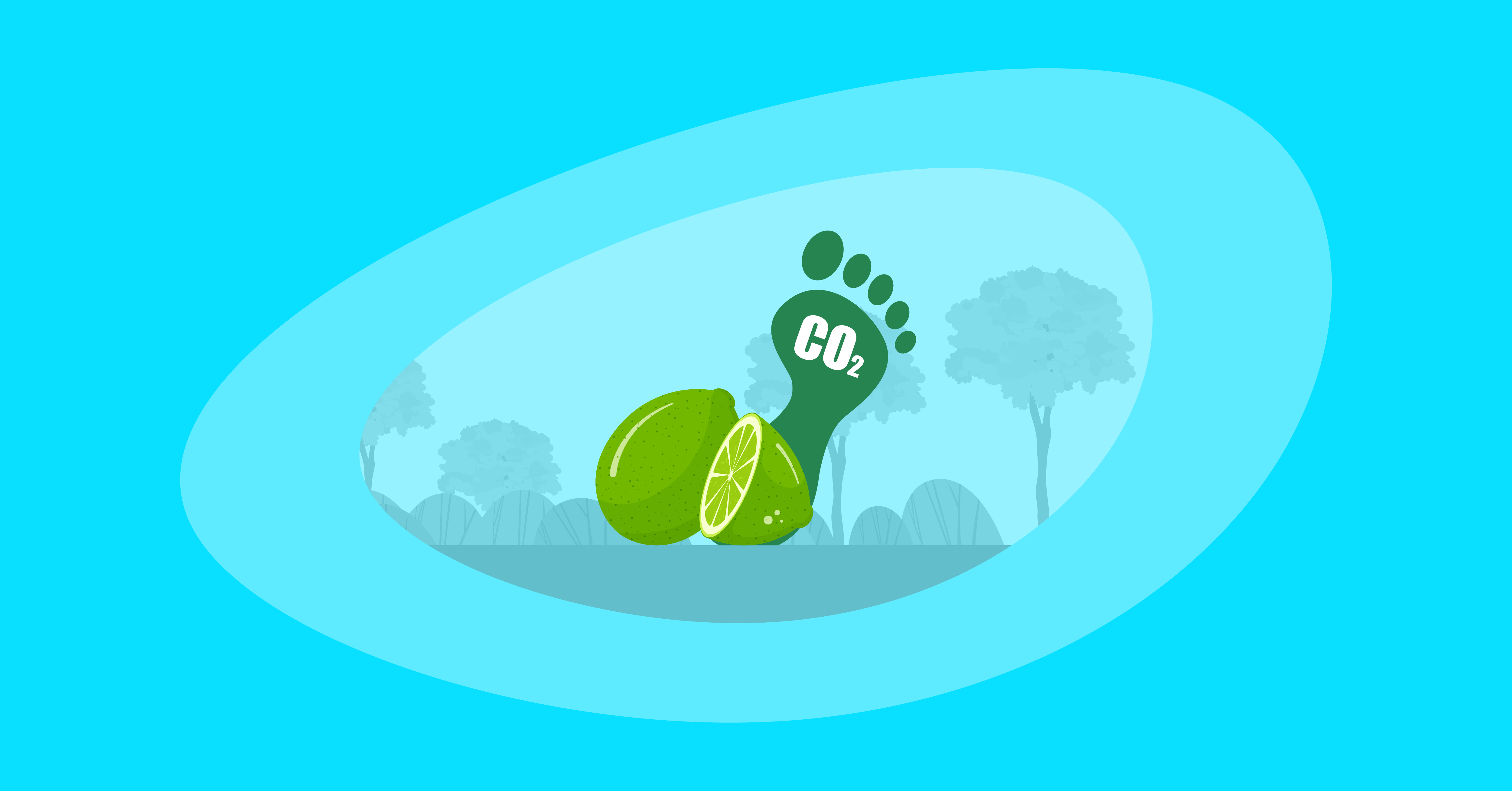Attempted illustration of limes with their carbon footprint