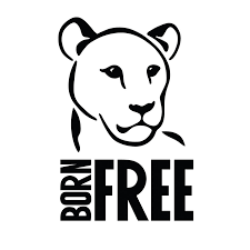 Logo for Born Free Foundation