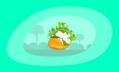 The Environmental Impact of Mangoes: From Farm to Table