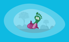 What Is the Carbon Footprint of Onions? A Life-Cycle Analysis