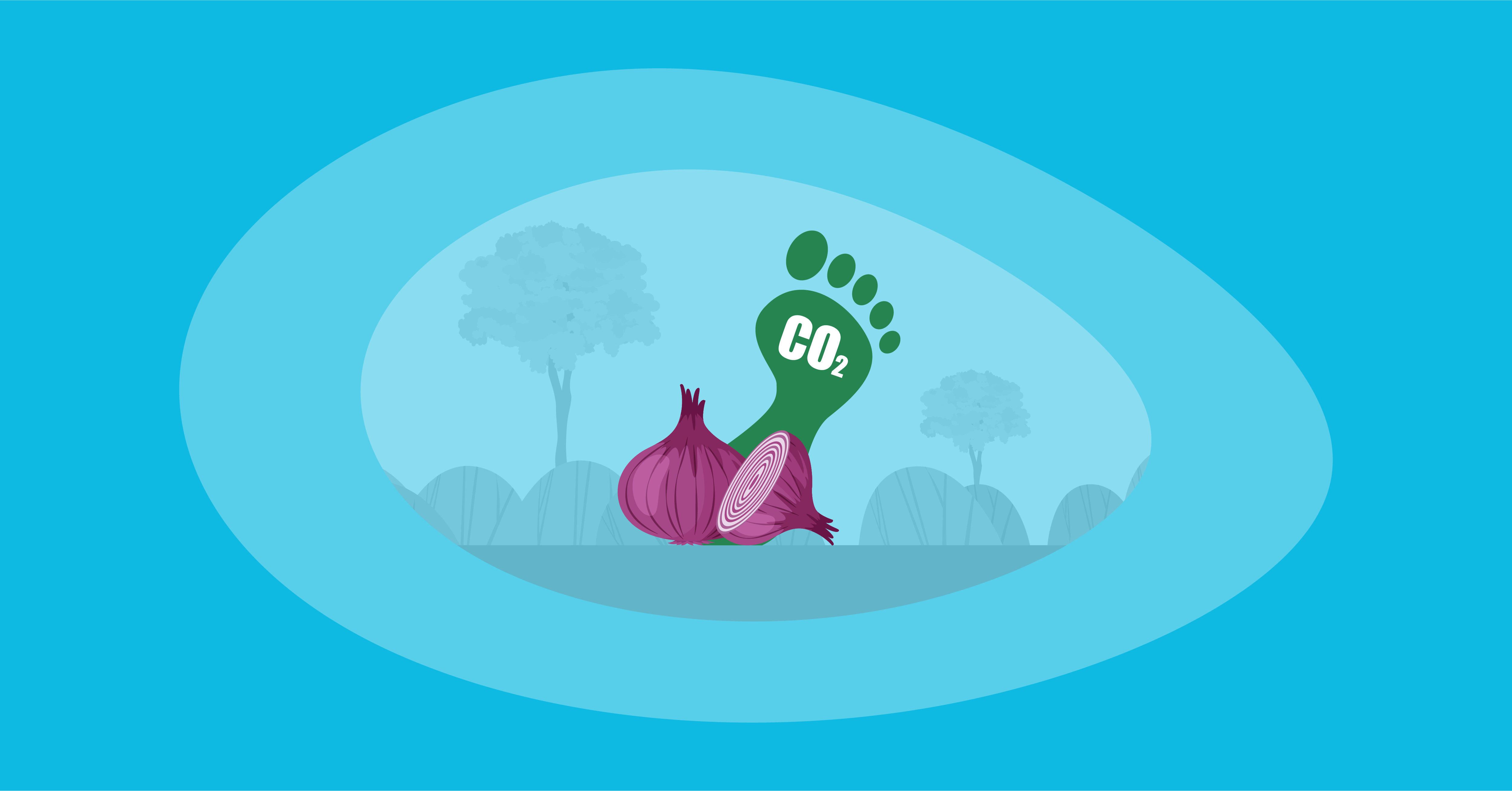 Attempted illustration of onions with their carbon footprint