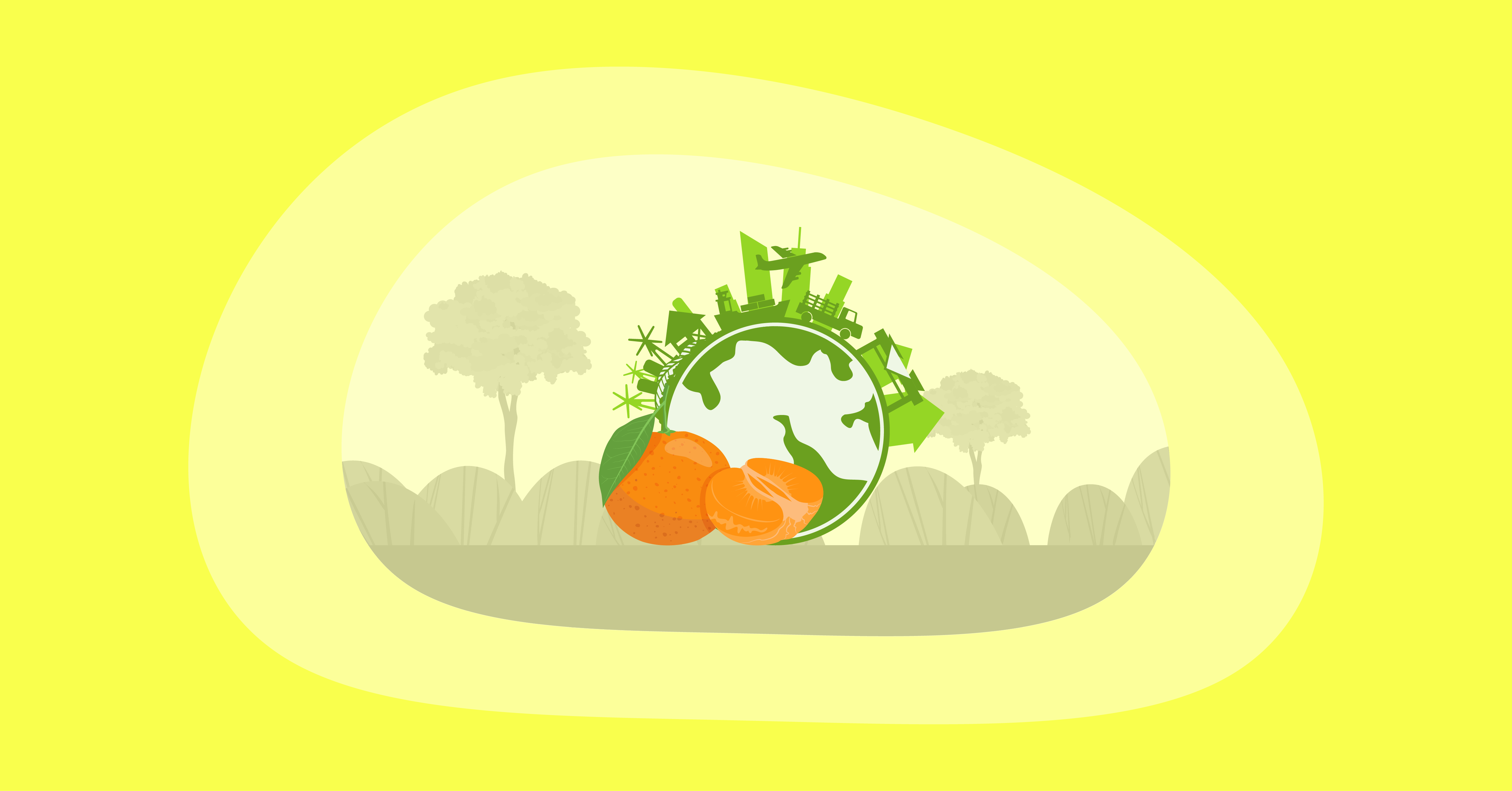 Illustration of clementines and their environmental impact