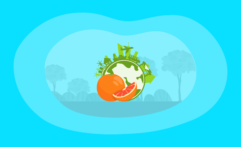 The Environmental Impact of Grapefruits: From Farm to Table