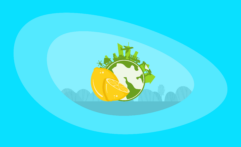 The Environmental Impact of Lemons: From Farm to Table