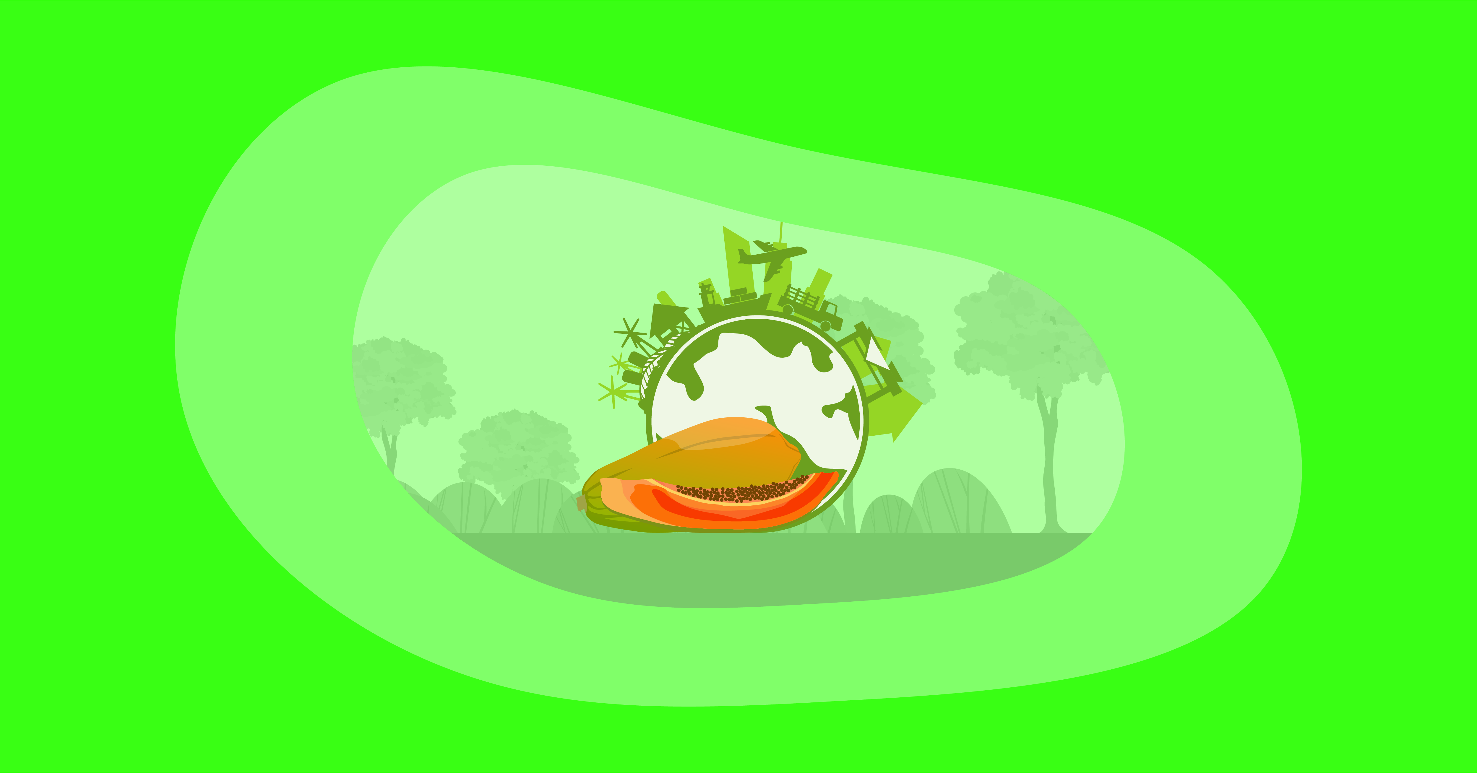 Illustration of papayas and their environmental impact