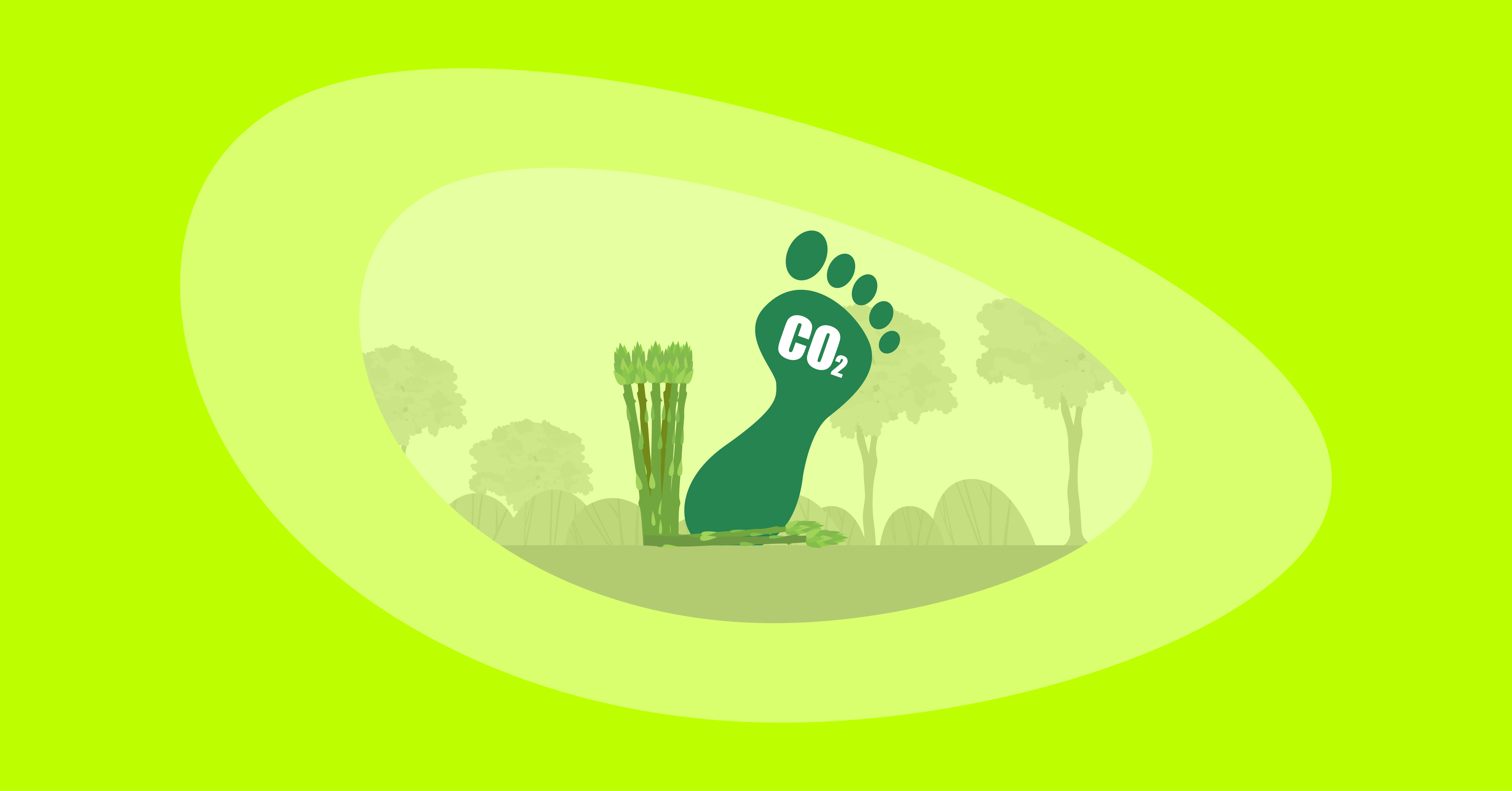 Illustration of asparagus with their carbon footprint
