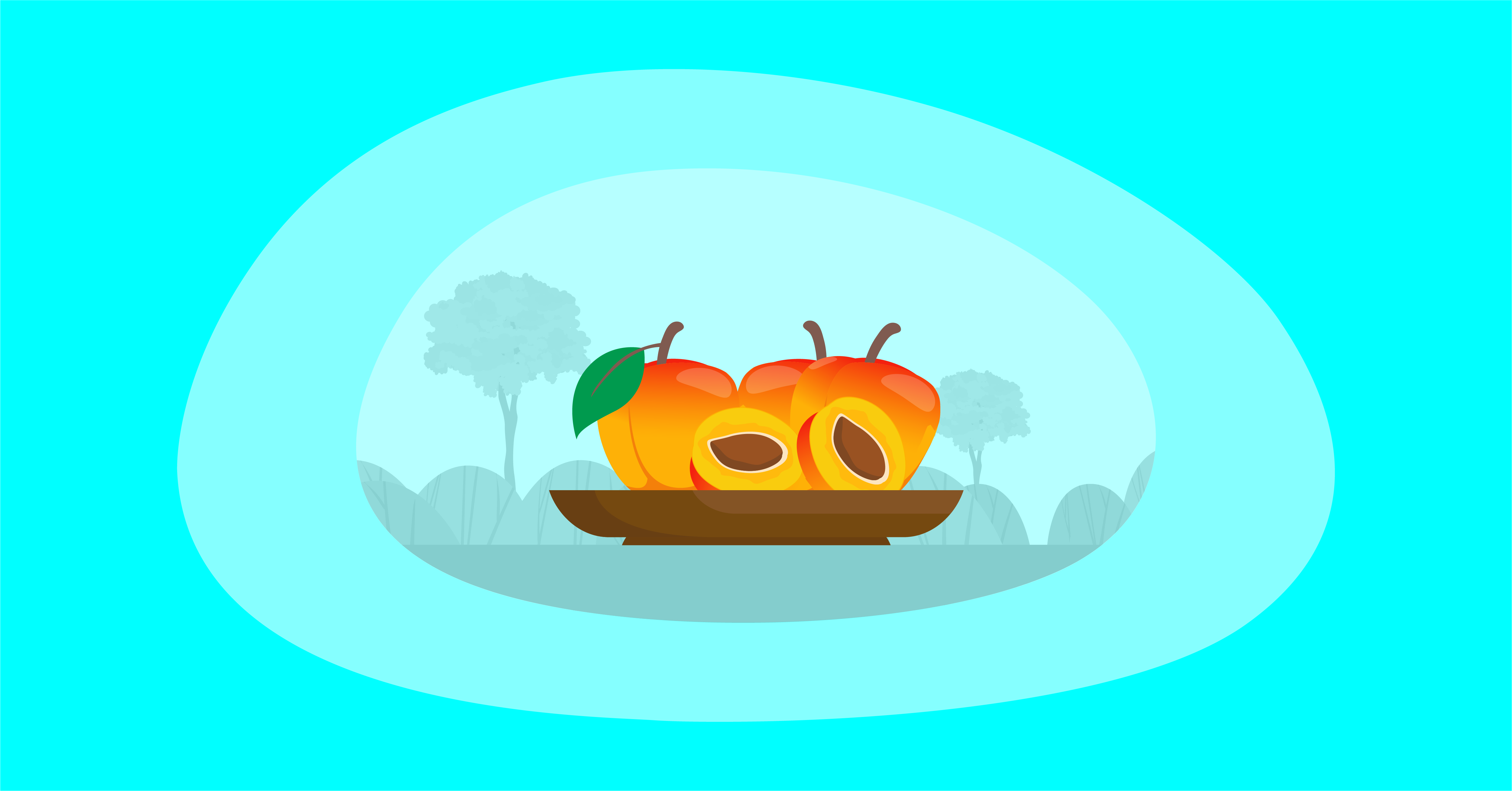 Illustration of apricots in a wooden platter