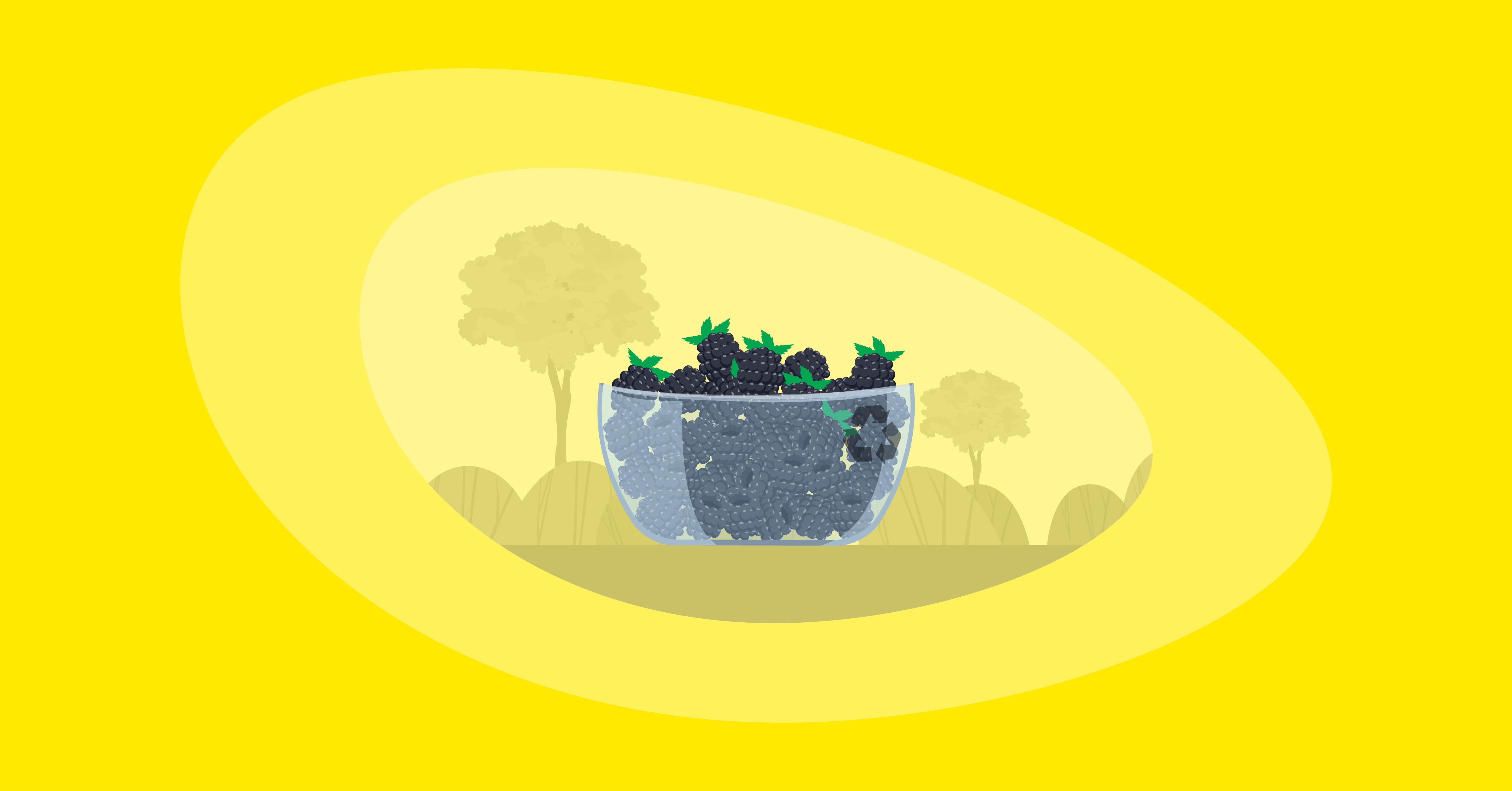 Illustration of blackberries inside a glass bowl