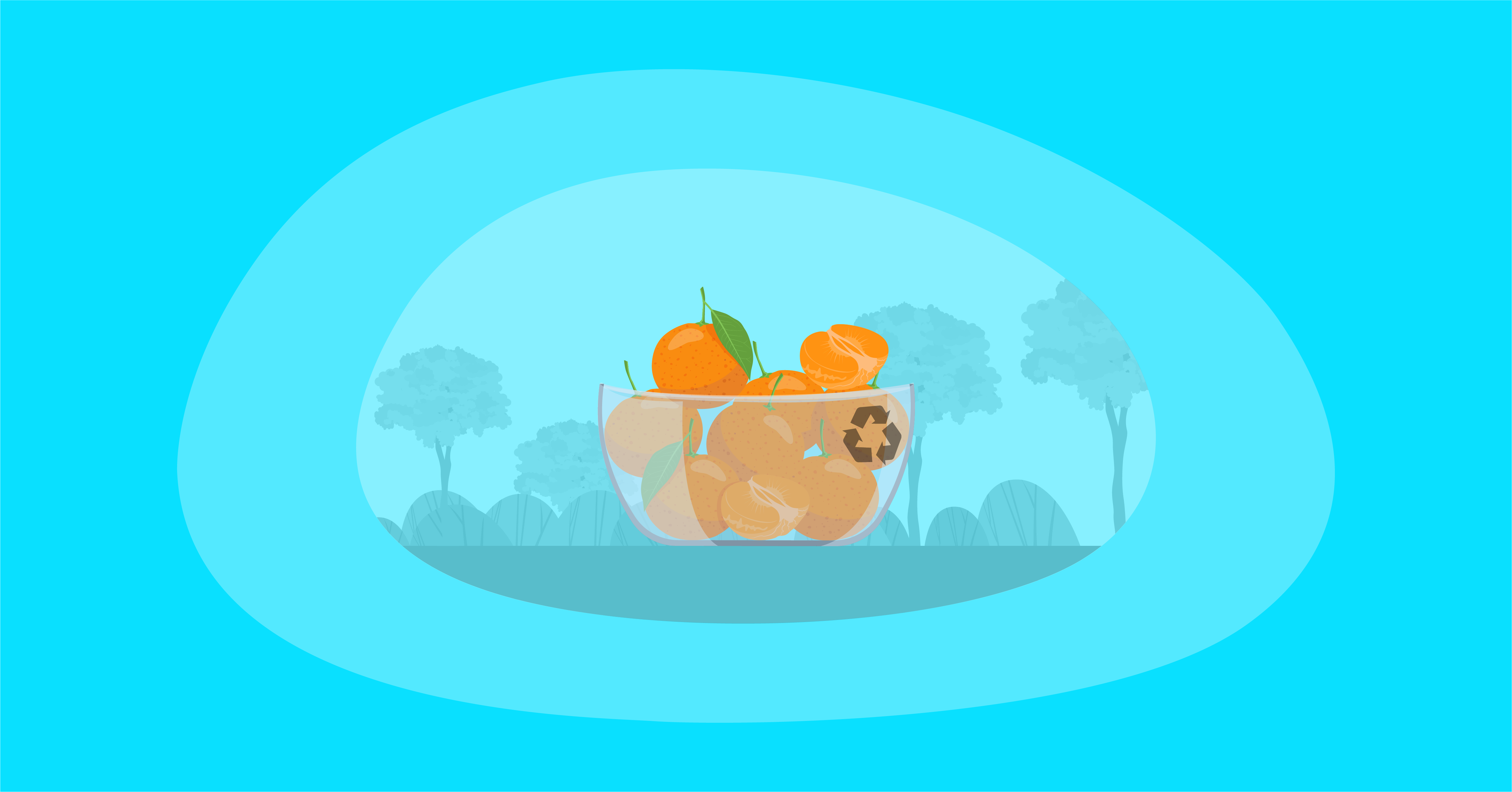 Illustration of clementines inside a glass bowl