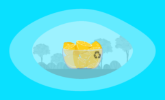 Is Eating Lemons Ethical & Sustainable? Here Are the Facts