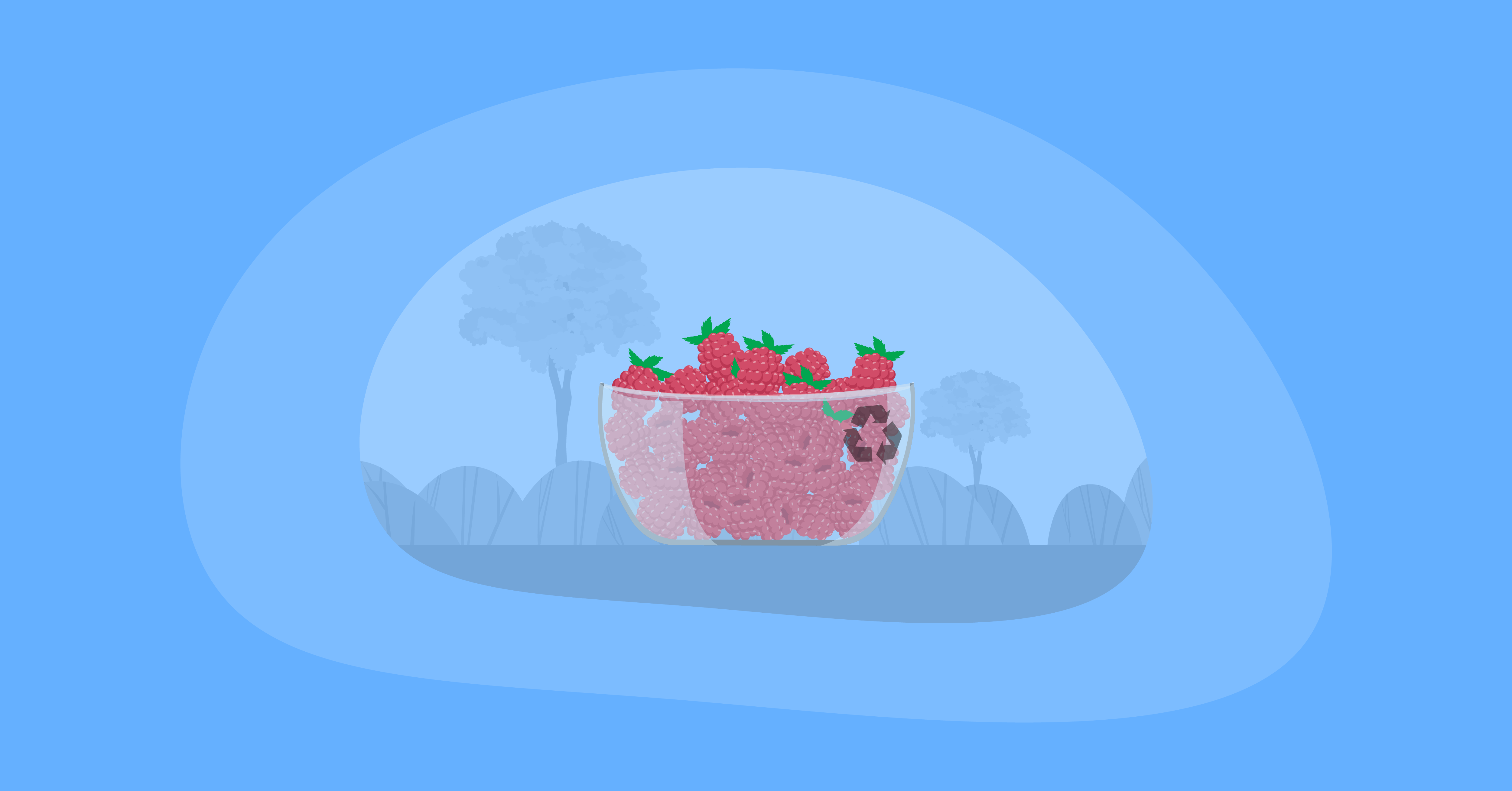 Illustration of raspberries inside a glass bowl