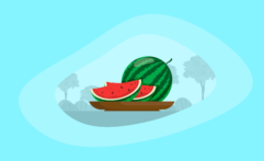 Is Eating Watermelons Ethical & Sustainable? Here Are the Facts