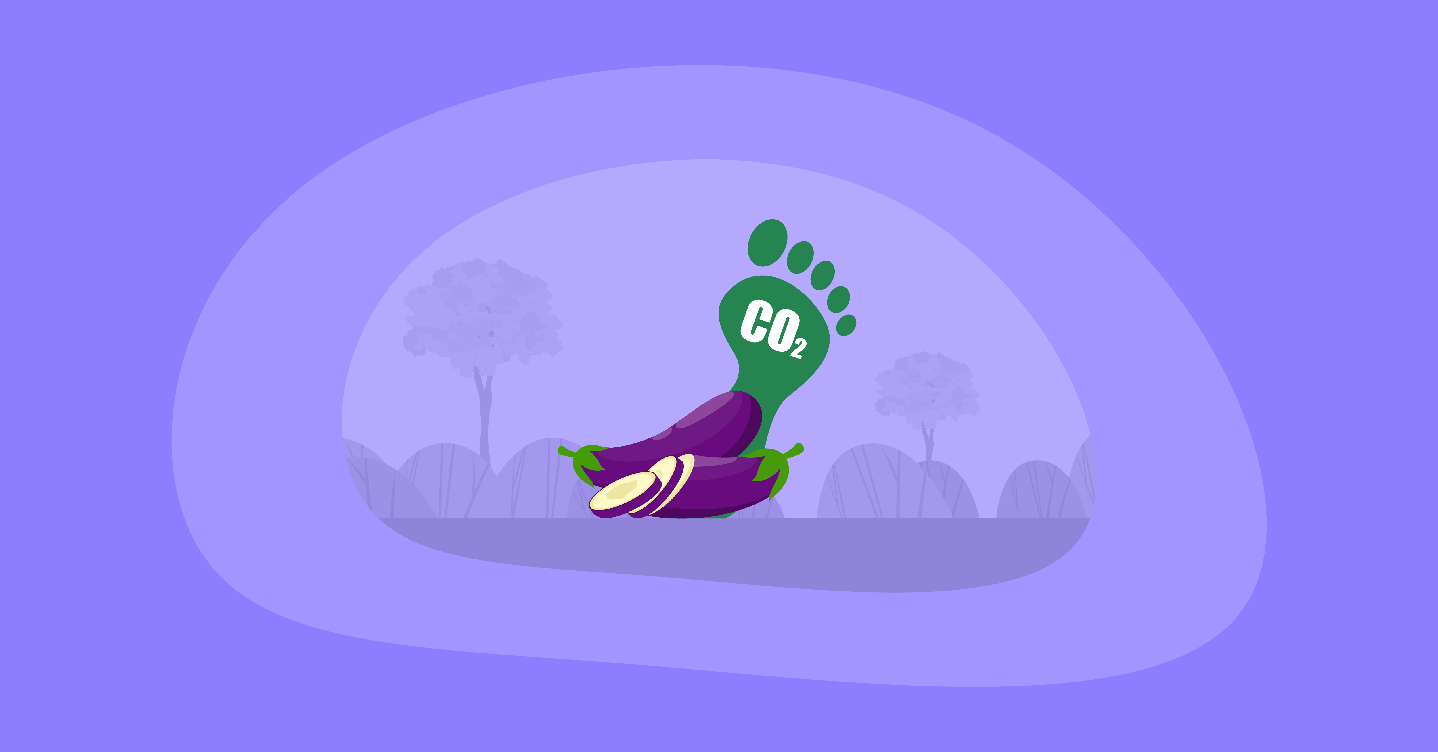 Illustration of eggplants with their carbon footprint