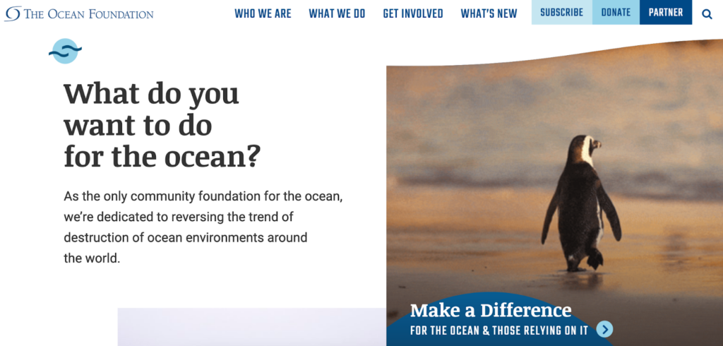 Screenshot of The Ocean Foundation front page