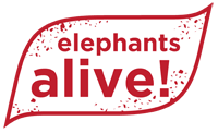 Logo for Elephants Alive