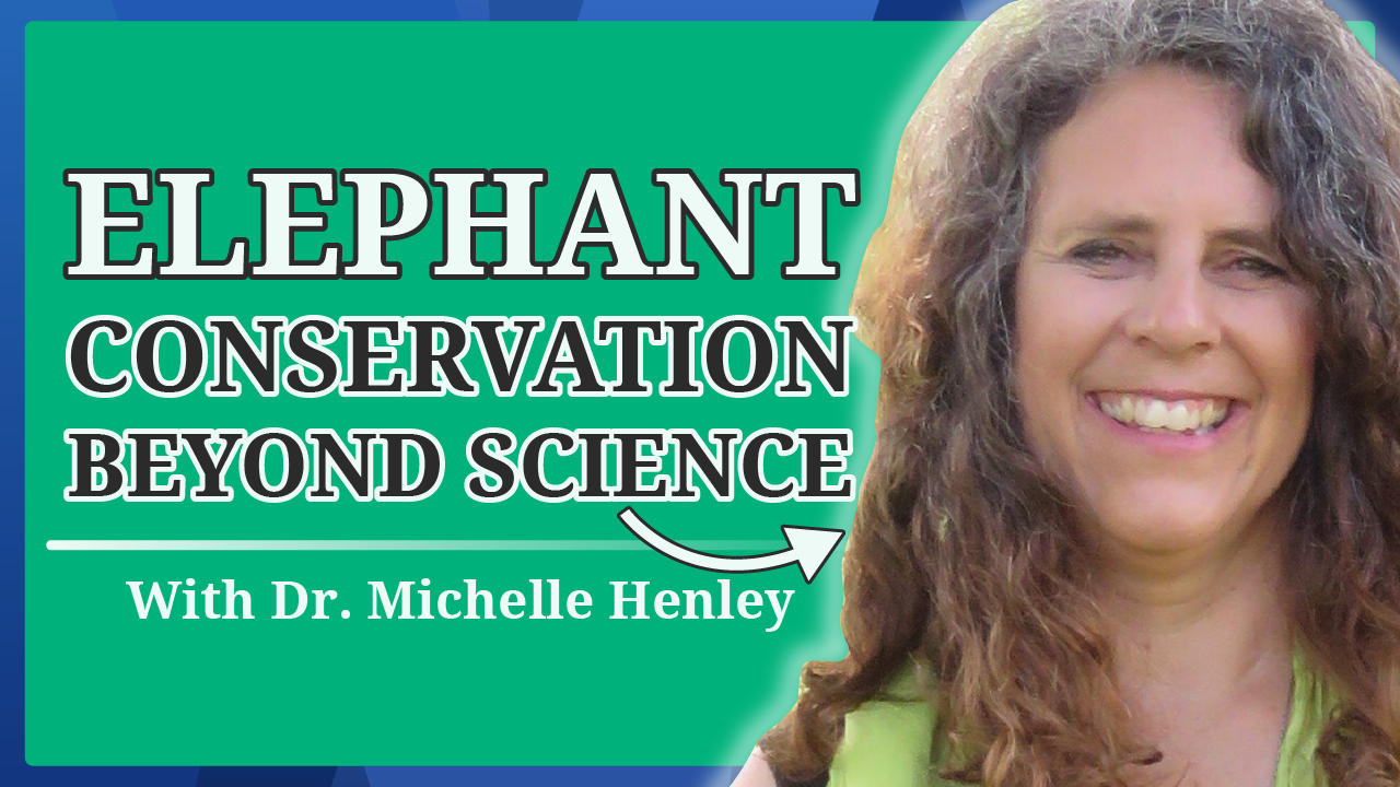 YouTube thumbnail of our podcast #4, featuring Dr. Michelle Henley from Elephants Alive
