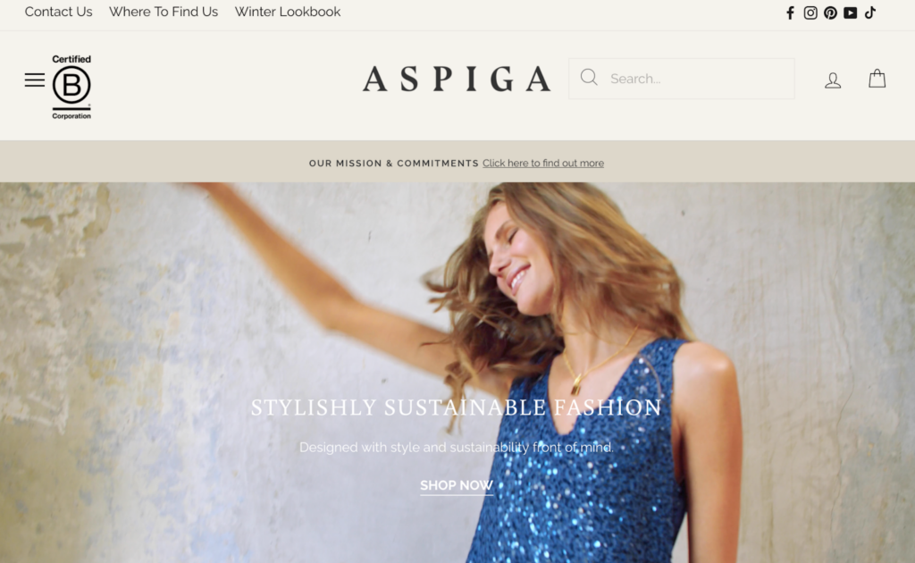 Screenshot of the Aspiga front page