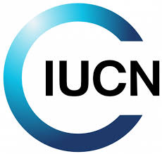 Logo for IUCN