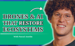 How Drones & AI Restore Ecosystems and Rainforests: Pascal Asselin from MORFO (#15)