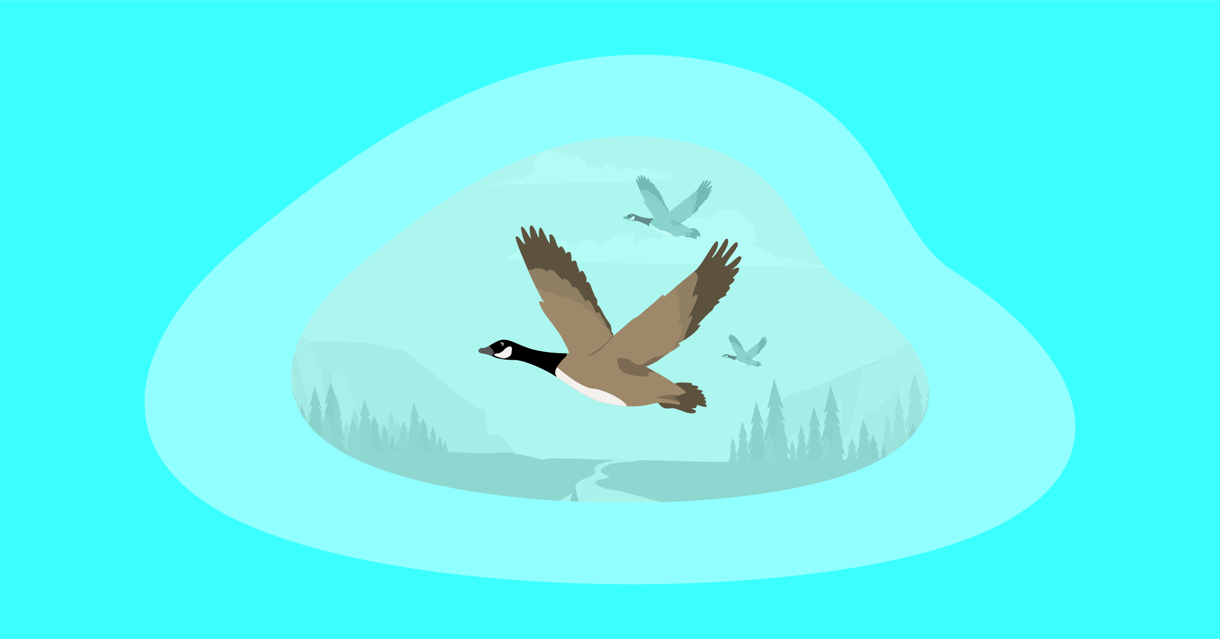 Illustration of flying birds