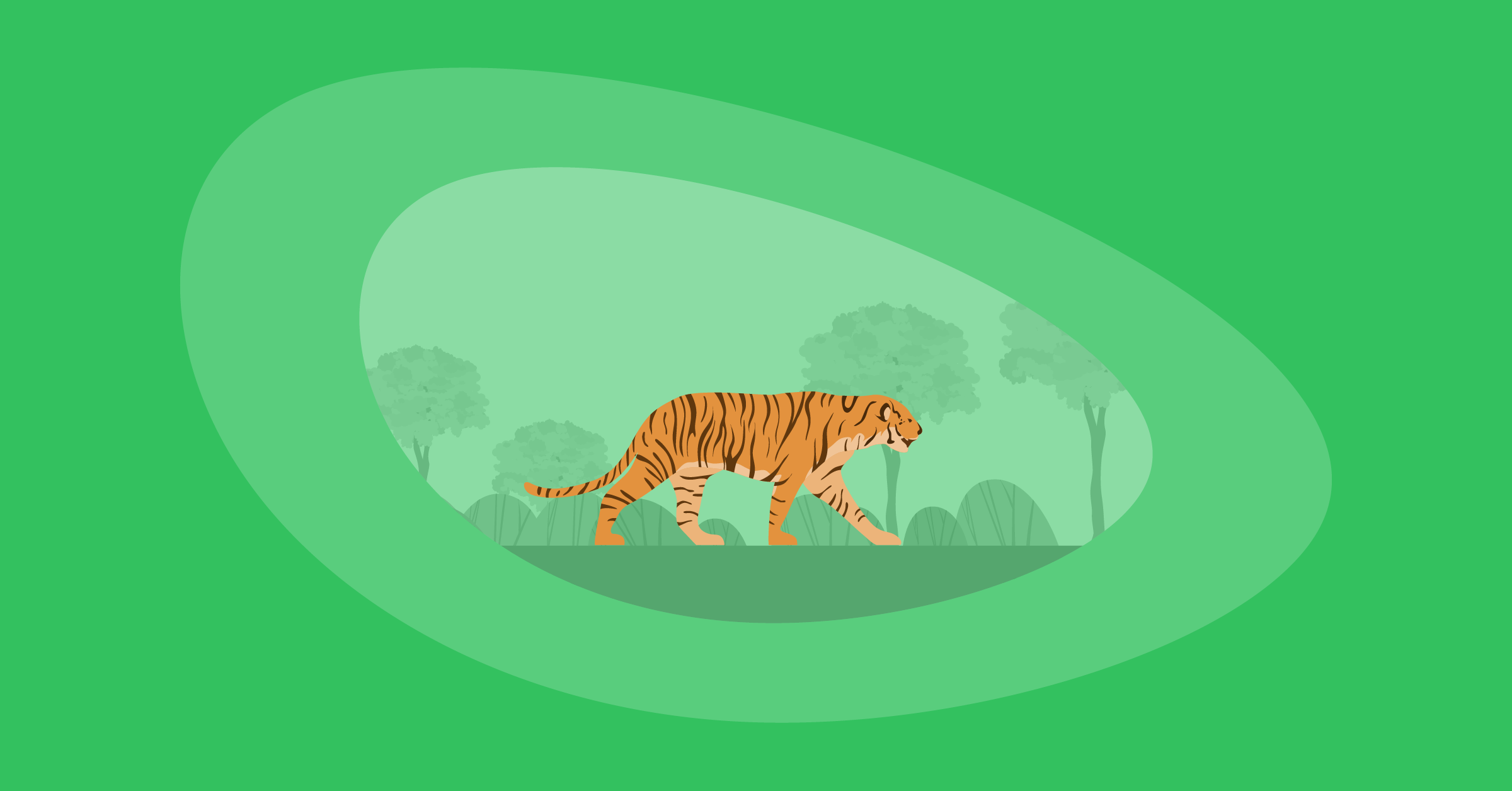 Illustration of a tiger