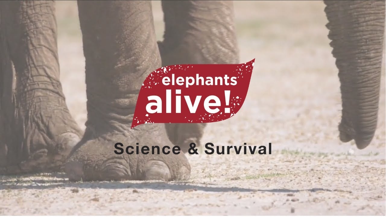 ELEPHANTS ALIVE! - Science and Survival