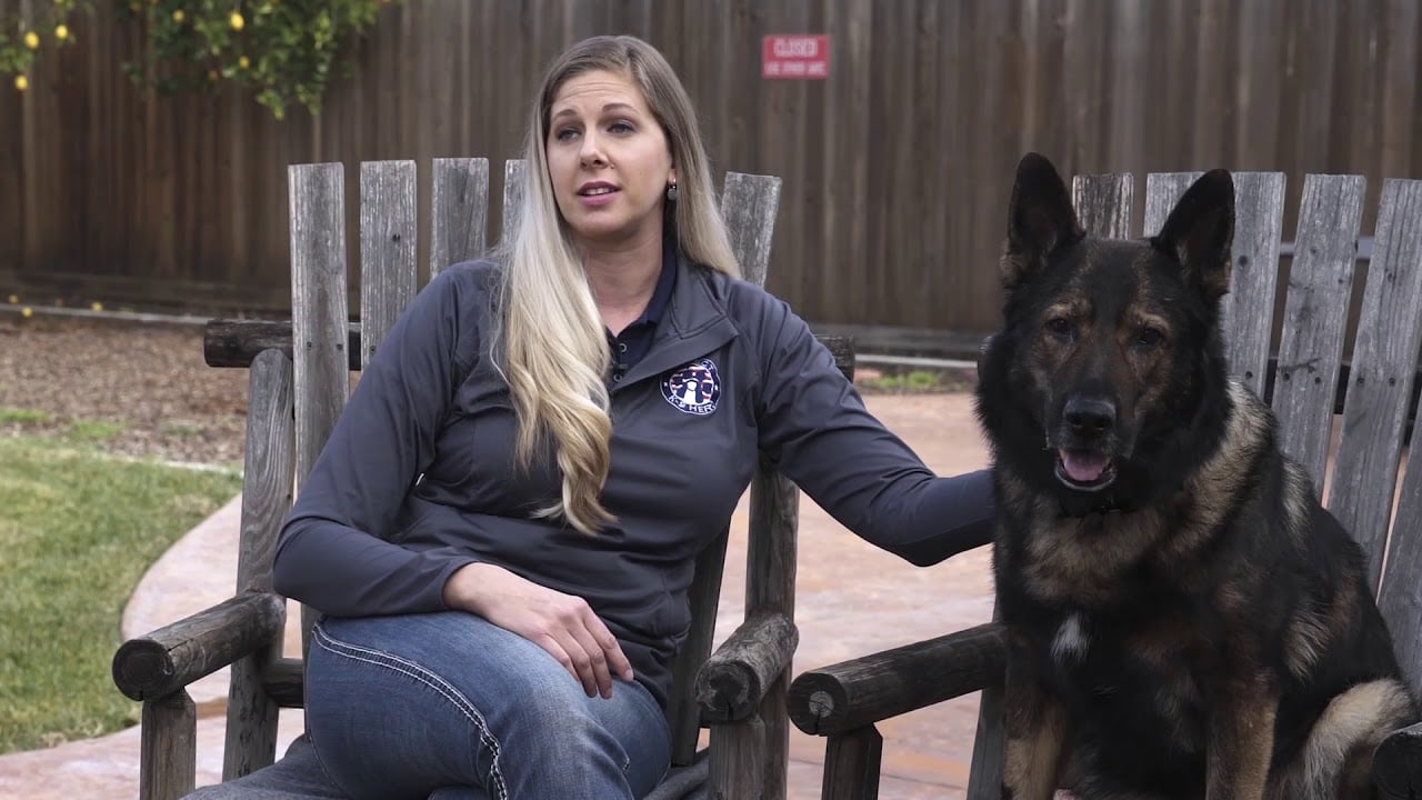 Project K-9 Hero Official Overview