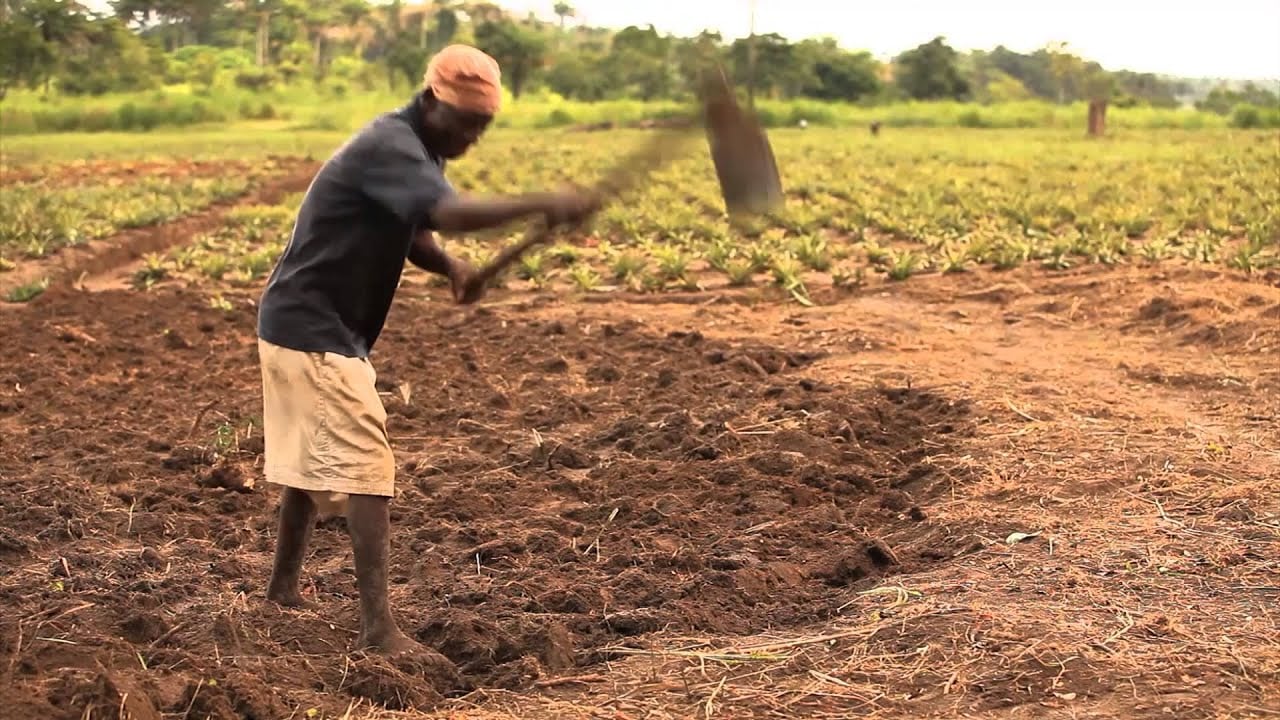 Introduction to World Hope International