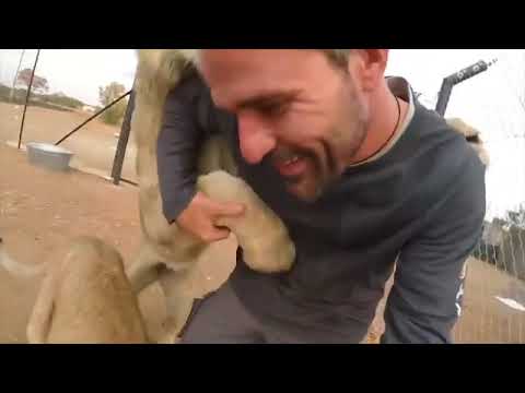 The Kevin Richardson Foundation