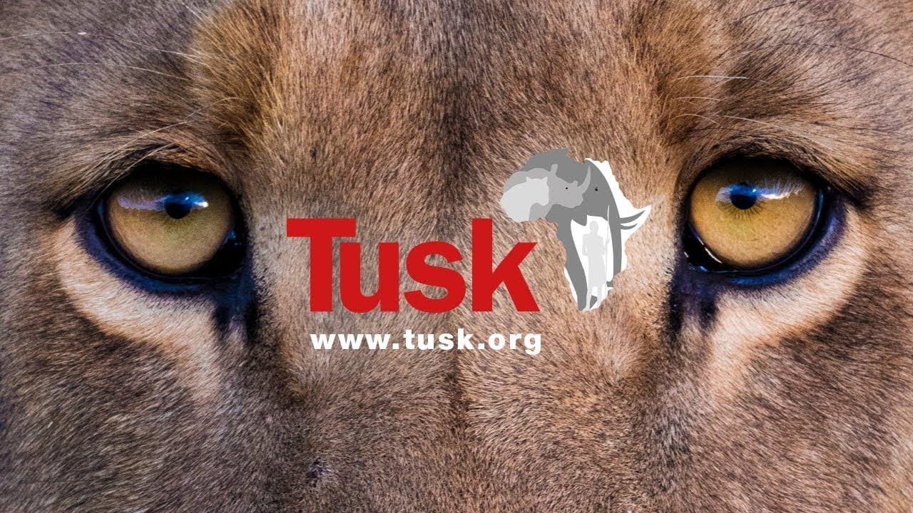 Introduction to Tusk 2021