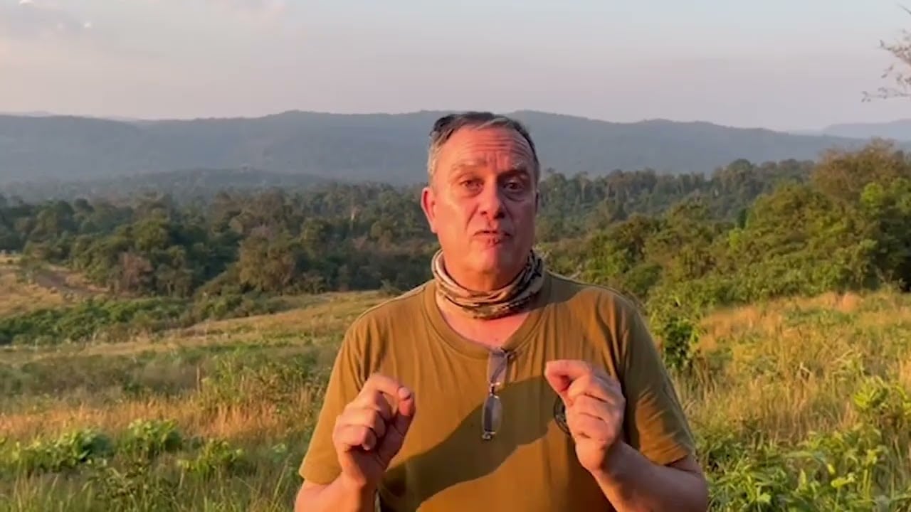 The Dark Side of the Illegal Tiger Trade - Thank You