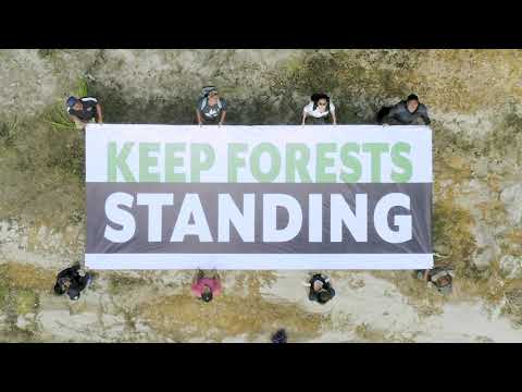 We Must Keep Forests Standing!