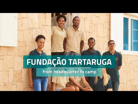 Fundação Tartaruga - from headquarter to camp (Turtle Foundation)