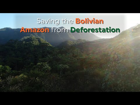 Stopping Deforestation at the Edge of the Bolivian Amazon